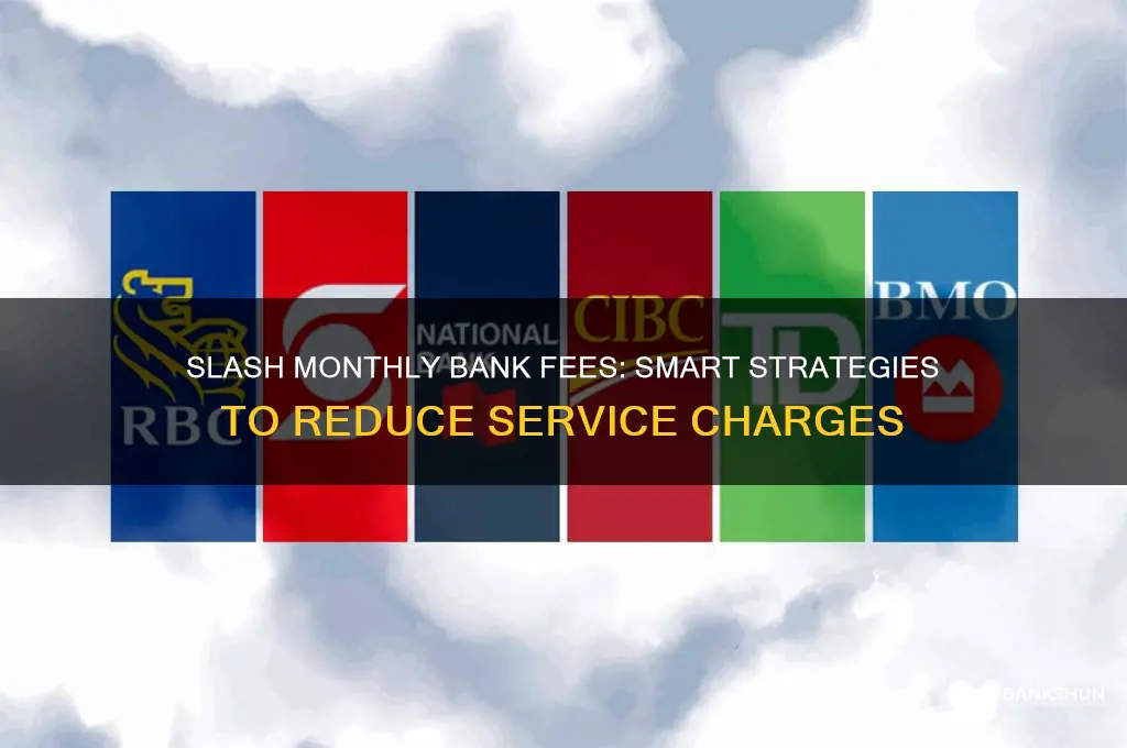 how to reduce monthly bank service chargw