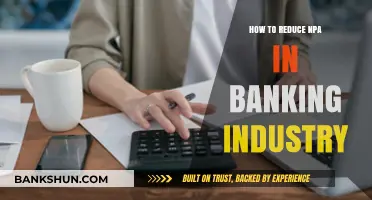 Strategies to Minimize Non-Performing Assets in the Banking Sector