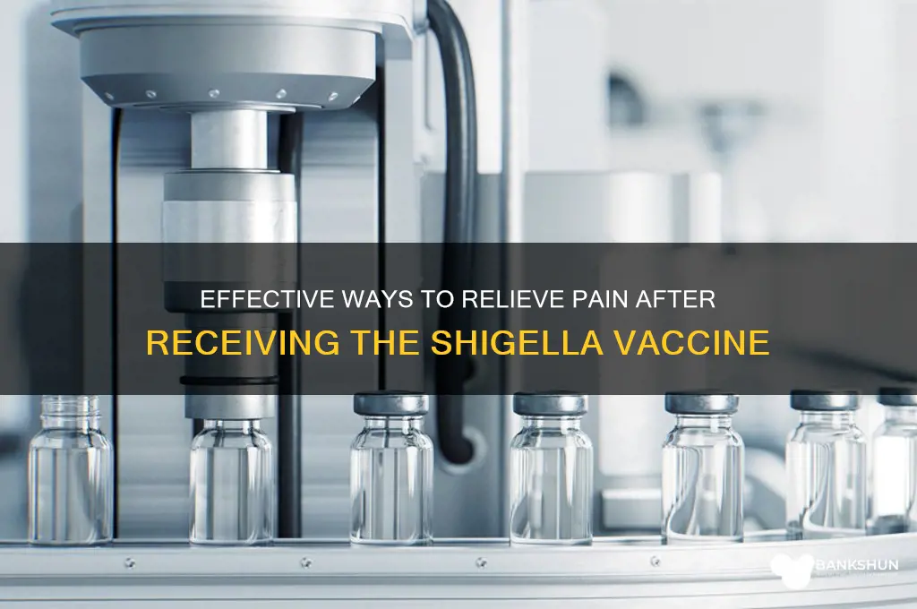 how to relieve pain from shigris vaccine