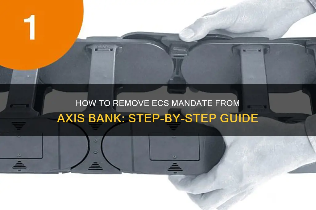 how to remove ecs from axis bank
