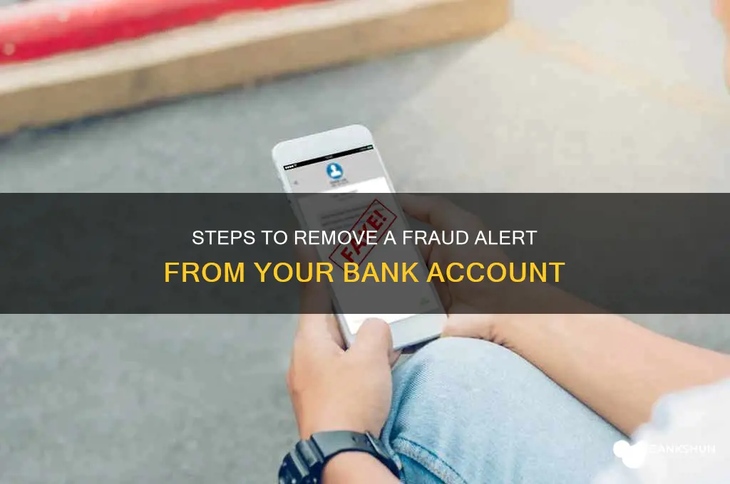 how to remove fraud alert from bank