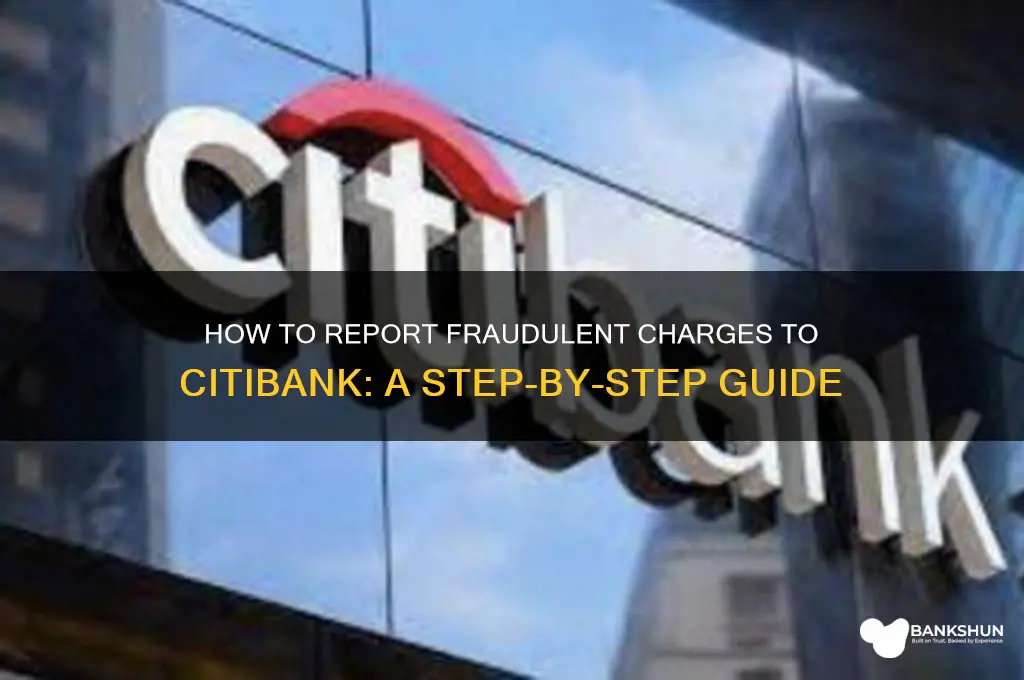 how to report fraugelant charge citi bank