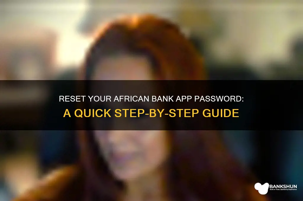how to reset african bank app password