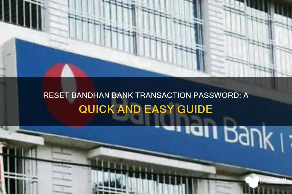 how to reset bandhan bank transaction password