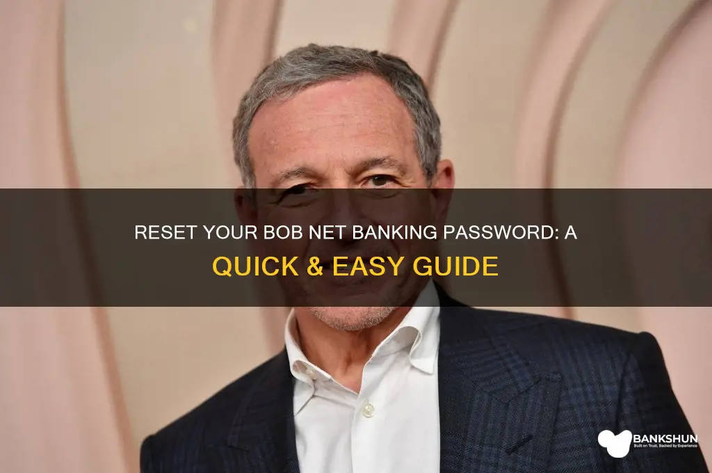 how to reset bob net banking password