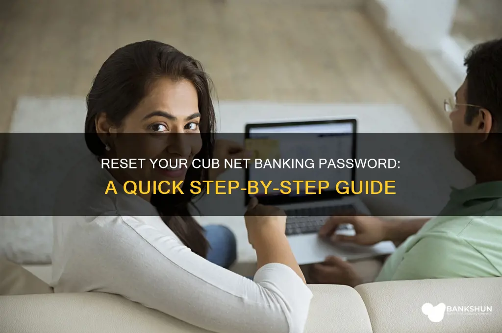 how to reset cub net banking password