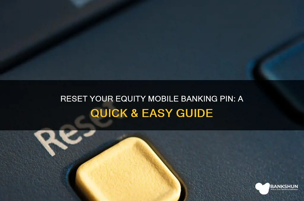 how to reset equity mobile banking pin
