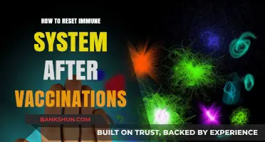 Revitalize Your Immune System Post-Vaccination: A Comprehensive Reset Guide