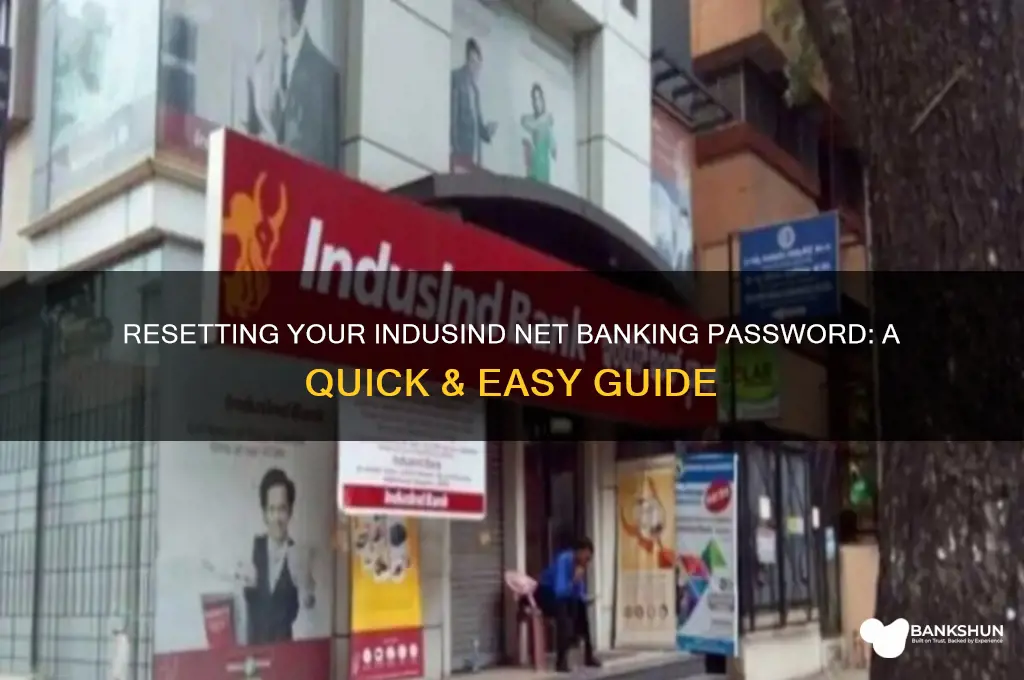 how to reset indusind net banking password
