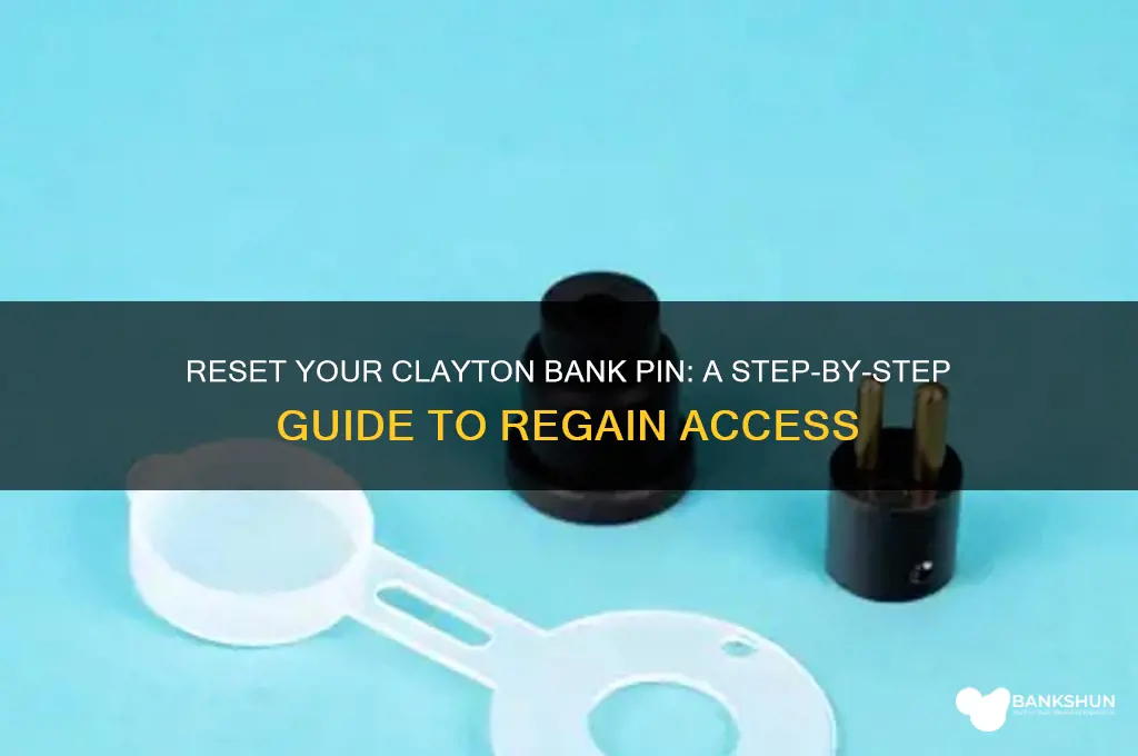 how to reset my clayton bank pin