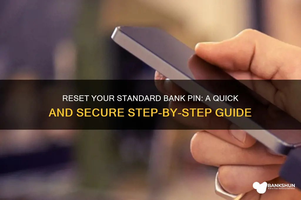 how to reset my standard bank pin