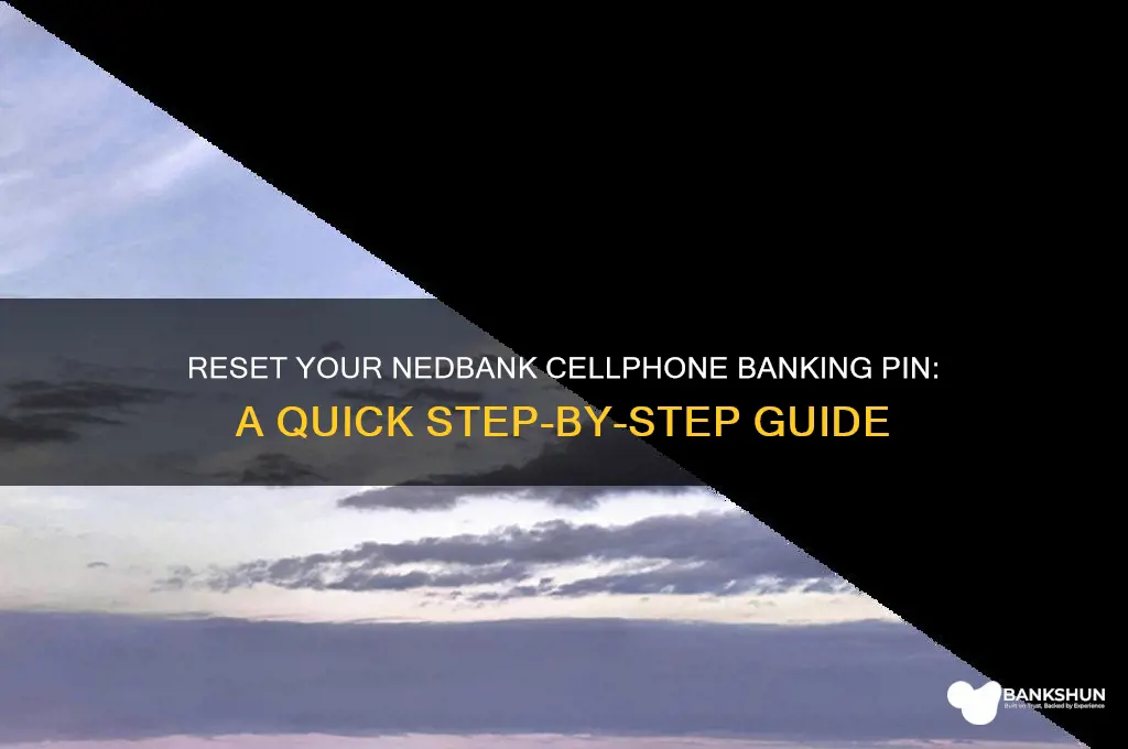 how to reset nedbank cellphone banking pin