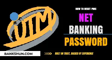 Step-by-Step Guide to Resetting Your PMC Net Banking Password