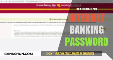 Reset Your PNB Internet Banking Password: A Quick Step-by-Step Guide
