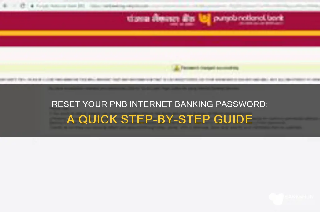 how to reset pnb internet banking password