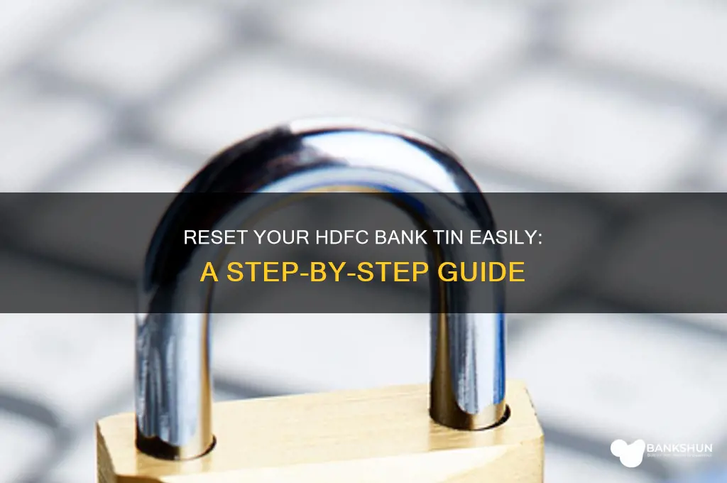 how to reset tin for hdfc bank