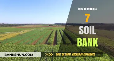 Sustainable Soil Management: Strategies to Preserve Your 7 Soil Bank