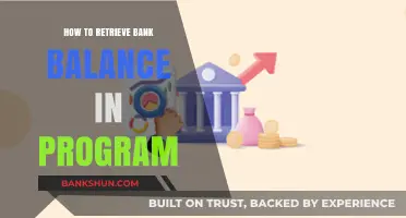 Retrieve Bank Balance Programmatically: A Step-by-Step Coding Guide