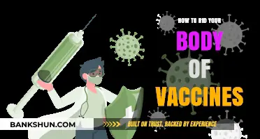 Detoxing Myths Debunked: Understanding Vaccine Safety and Your Body
