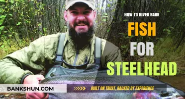 Mastering Steelhead Fishing: Effective Techniques for River Bank Anglers