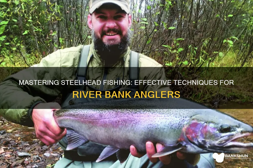 how to river bank fish for steelhead
