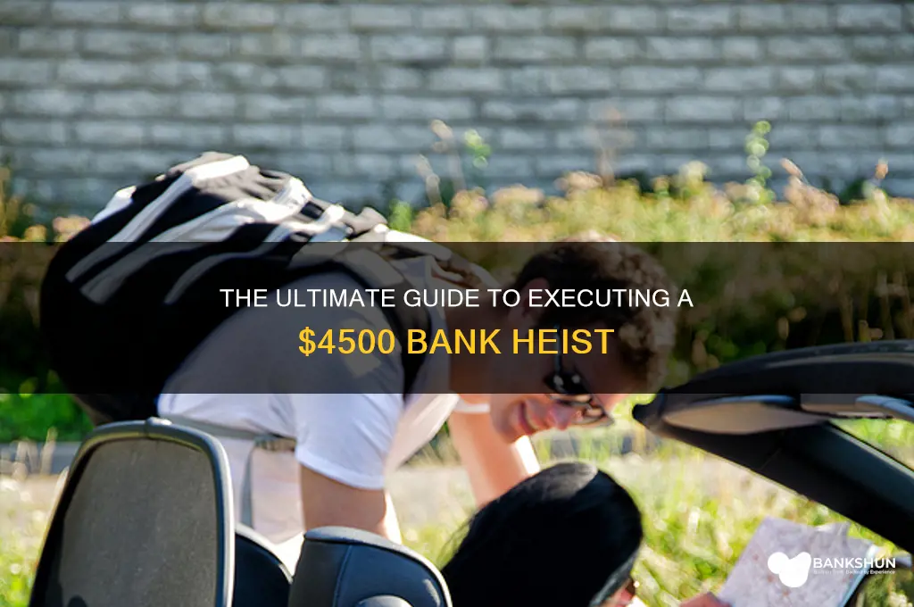 how to rob a bank for 4500