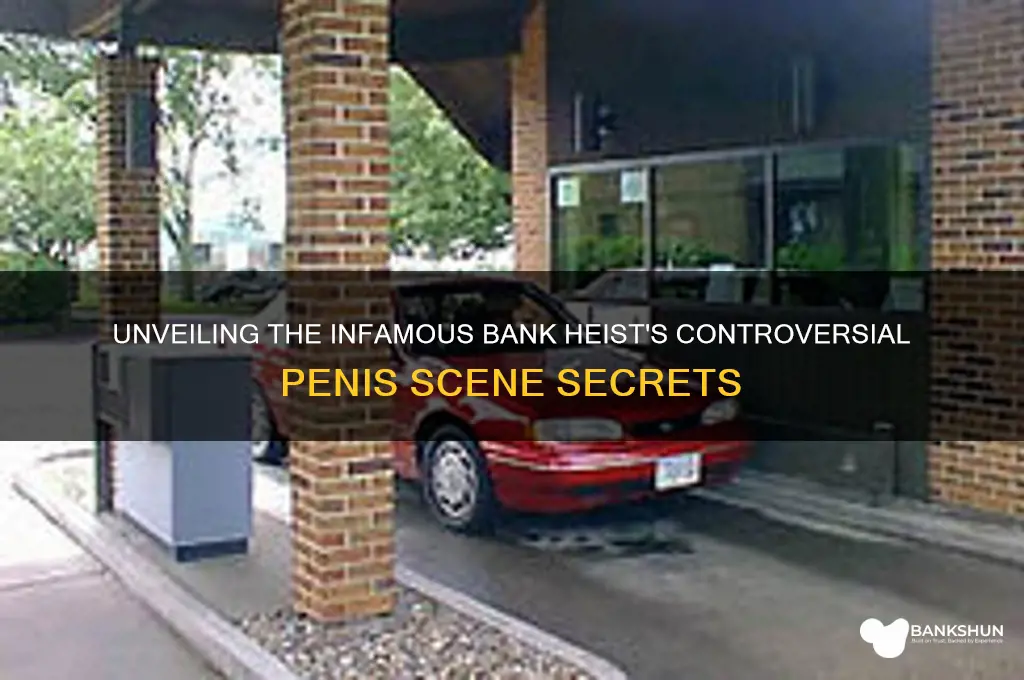 how to rob a bank penis scene