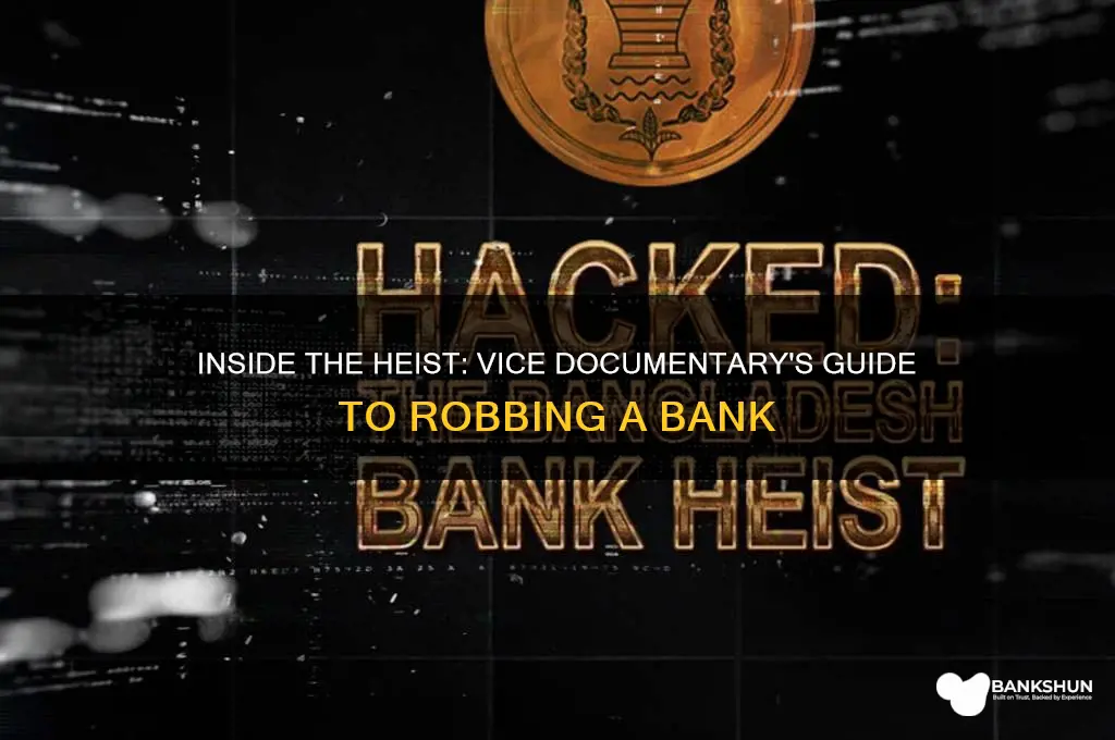 how to rob a bank vice documentary