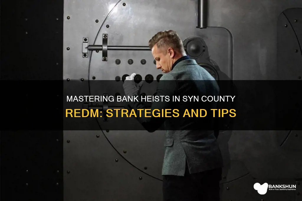 how to rob banks syn county redm