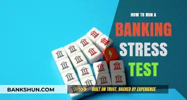 Mastering Banking Stress Tests: A Comprehensive Guide to Execution