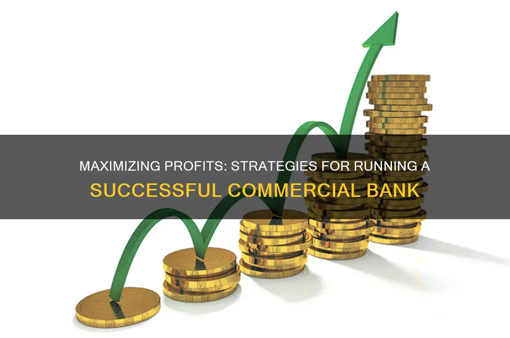 how to run a profitable commercial bank