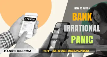 Calm the Chaos: Strategies to Prevent Bank Irrational Panic