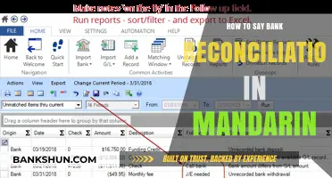 Mastering Mandarin: How to Say Bank Reconciliation in Chinese