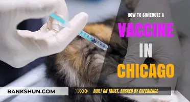 Chicago Vaccine Scheduling Guide: Easy Steps to Book Your Appointment