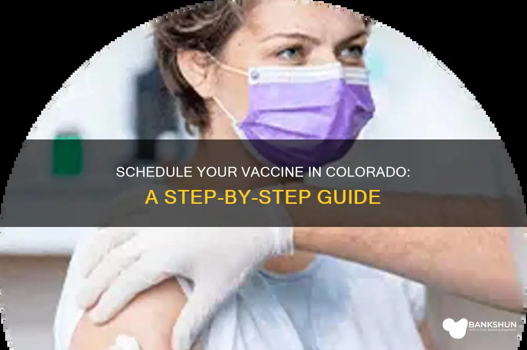 how to schedule a vaccine in colorado