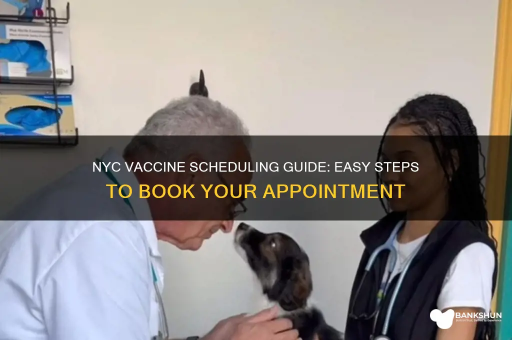 how to schedule a vaccine in nyc