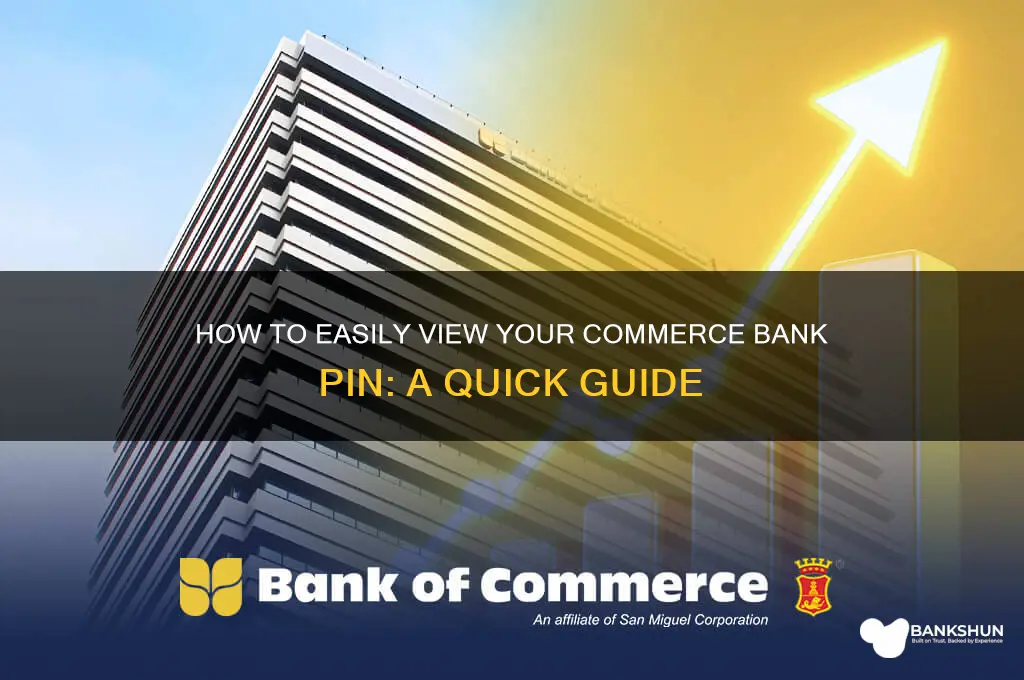 how to see my pin commerce bank