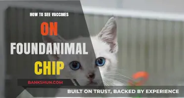 How to Access Vaccine Records via Found Animal Microchips