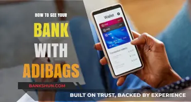 Transform Your Bank Experience: Using ADIBags for Enhanced Financial Insights