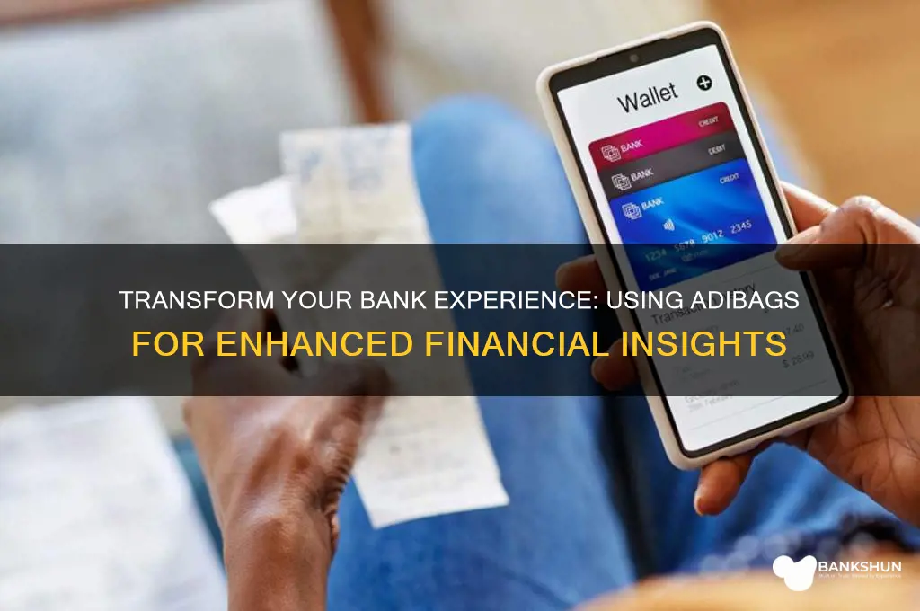 how to see your bank with adibags