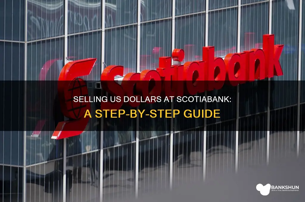 how to sell dollars on scotia bank
