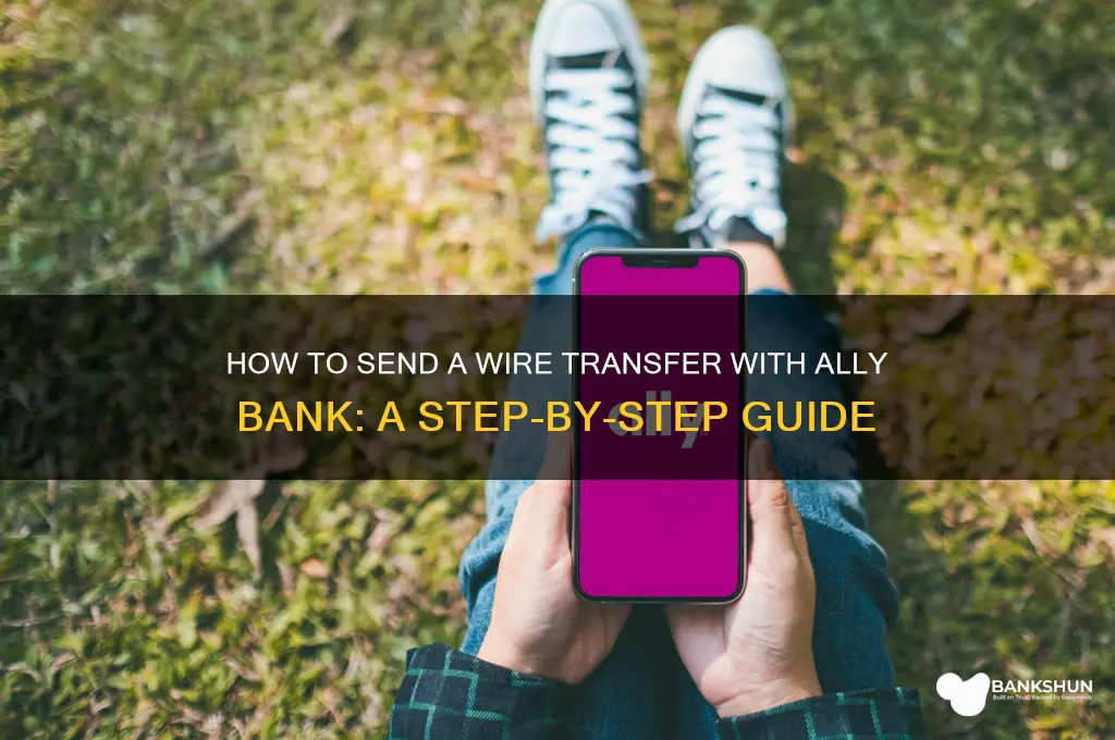 how to send a wire ally bank