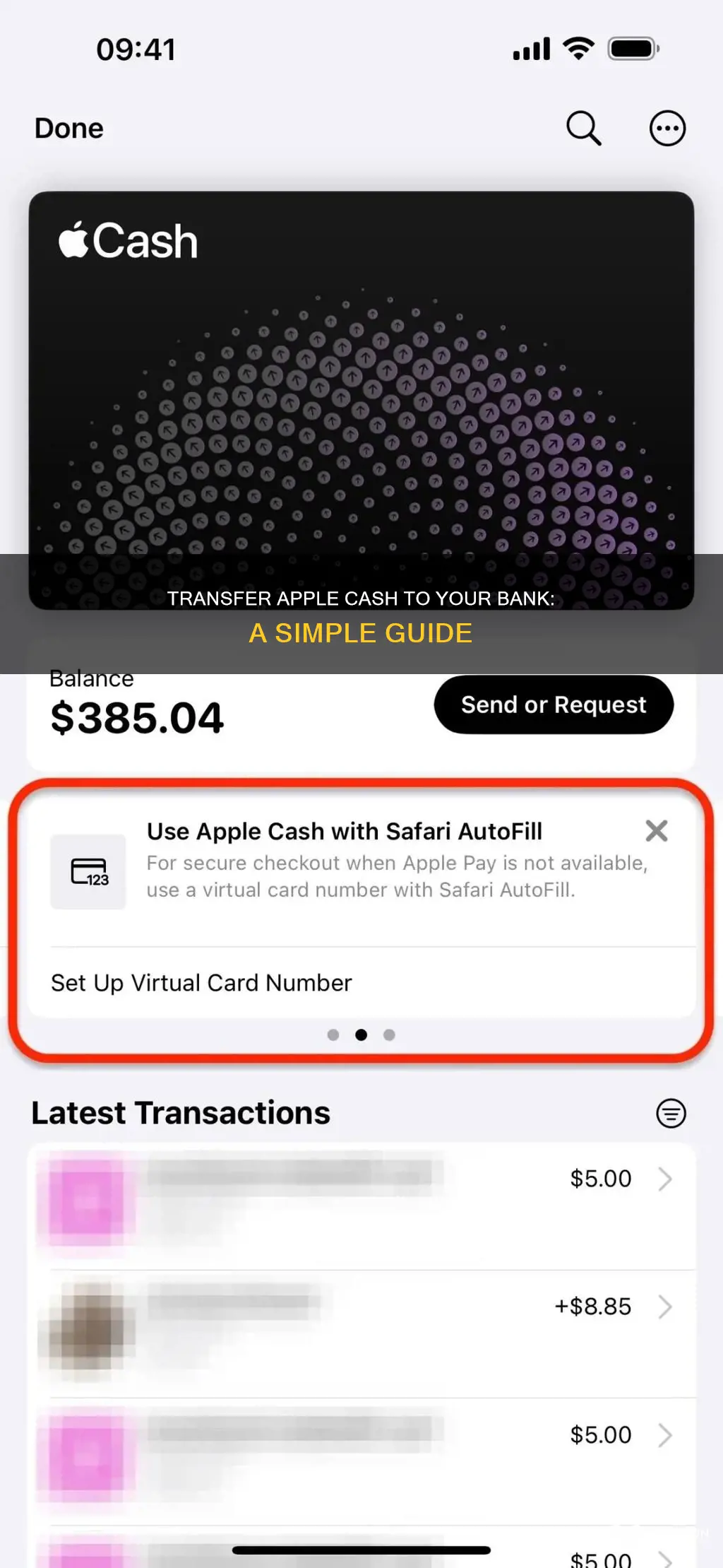 how to send apple cash to bank