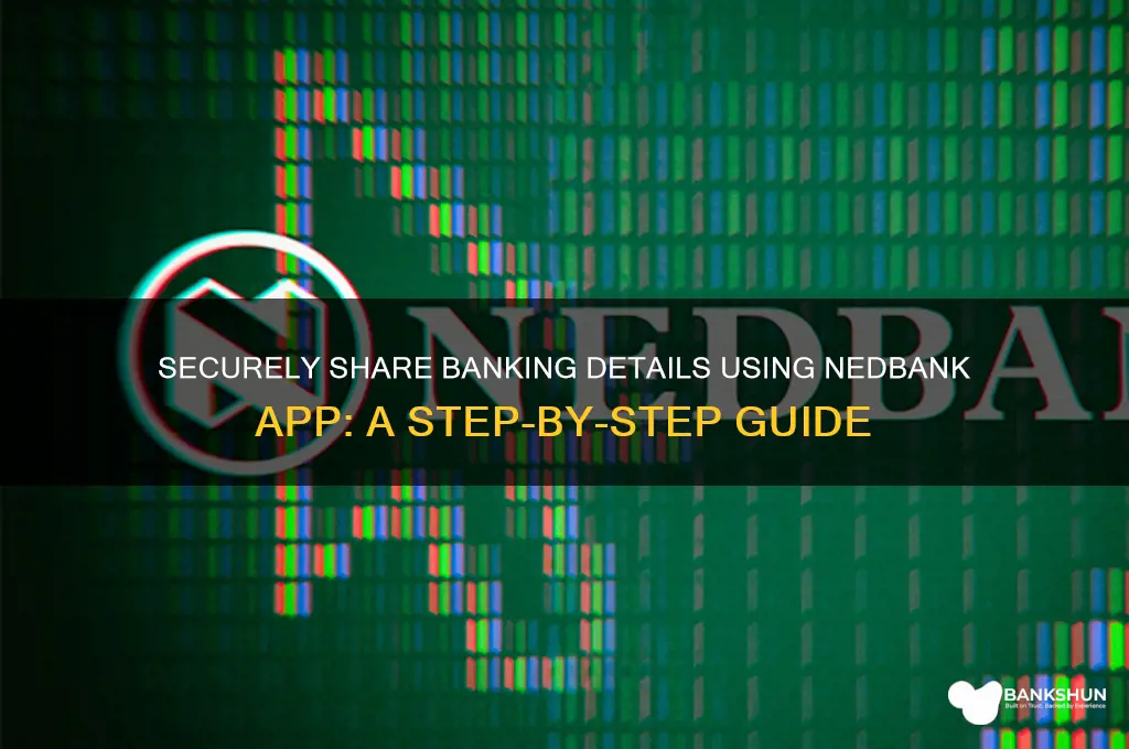 how to send banking details nedbank app