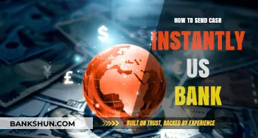 Instant Cash Transfers: How to Send Money Quickly via US Banks