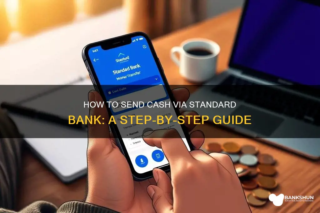 how to send cash send standard bank