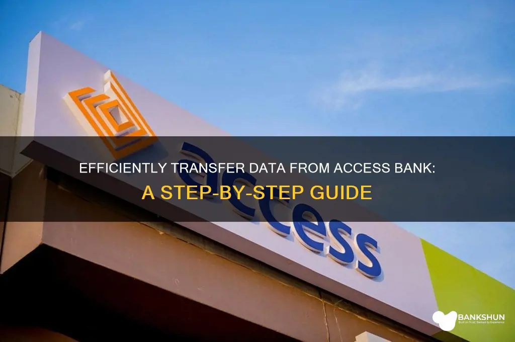 how to send data from access bank