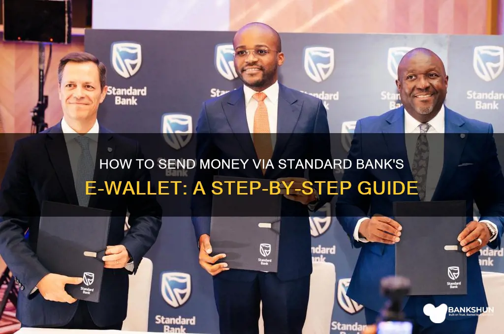 how to send e wallet standard bank
