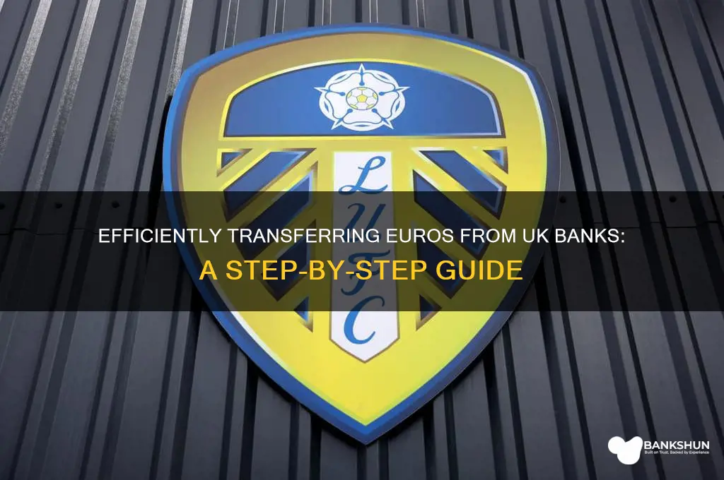 how to send euros from uk bank