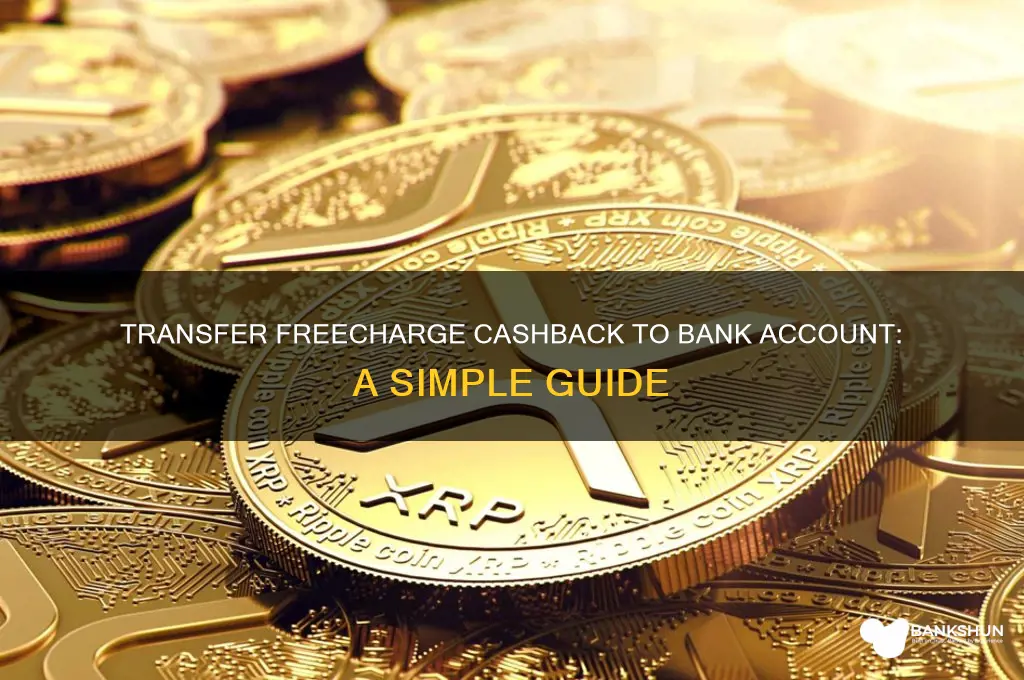 how to send freecharge cashback to bank